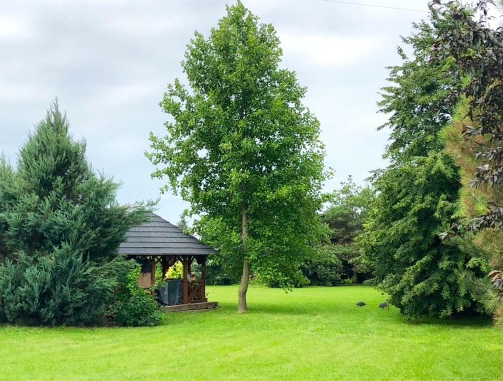 Apartmanove Pod Dubom Apartment Polny Kesov